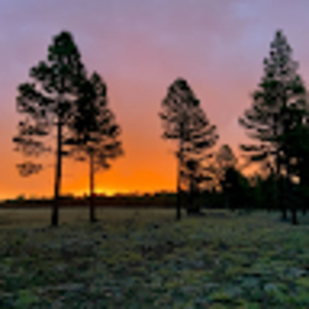 Meet your Posher, Outside